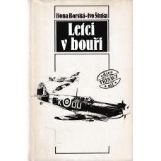 Letci v bouři