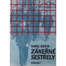 Zákeřné sestřely